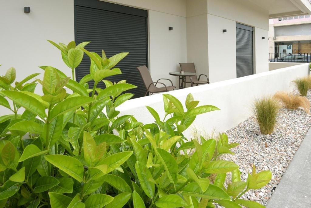 Aello Luxury Apartments Markopoulo Mesogaias ภายนอก รูปภาพ